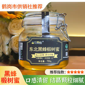 【占花黑蜂】东北特产 黑蜂椴树蜜750g 反复吞吐