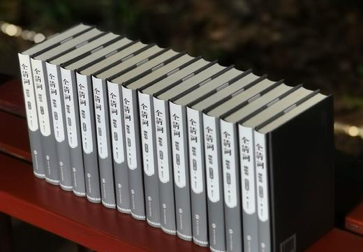 《全清词 雍乾卷》，精装，32开，全16册，张宏生编，南京大学出版社2012年一版一印，定价1600，售价358元。 商品图3