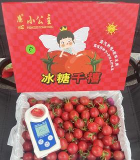 冰糖千禧小番茄 | 水果