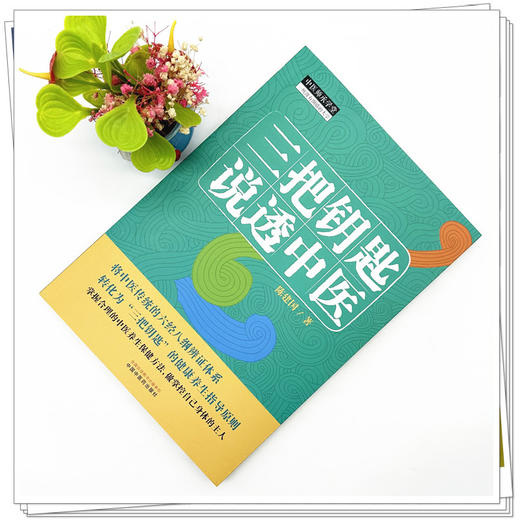 三把钥匙说透中医 陈建国 著 中国中医药出版社 中医师承学堂 六经八纲辨证伤寒杂病论备急千金要方临床医案书籍 商品图1
