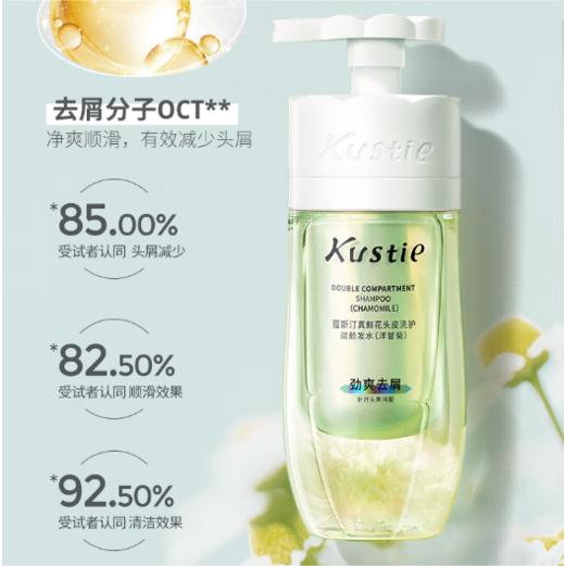 蔻斯汀双舱洗发水（山茶花）250g+250g 商品图1