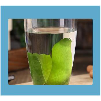 良时海干裙带菜100g 袋装 海产干货 凉拌煲汤 裙带菜虾皮汤 /粮油调味 /南北干货 /鱼虾贝藻类干货 商品图0