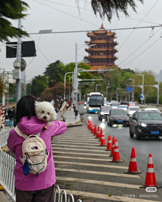 原单通勤旅行户外北面双肩包小书包 商品图12