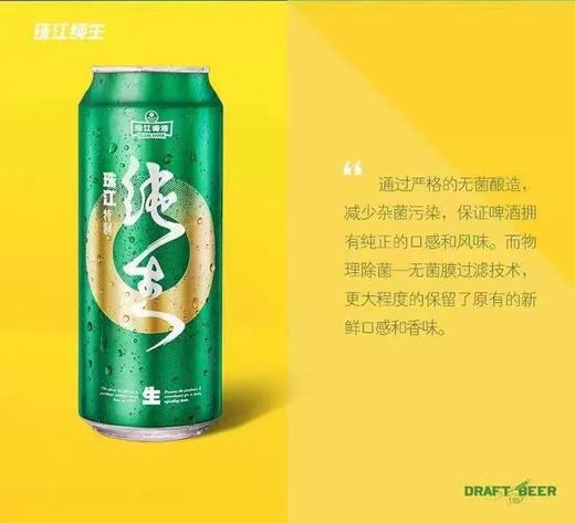 【整箱】珠江啤酒 特制纯生9度 500ml*12听 商品图3