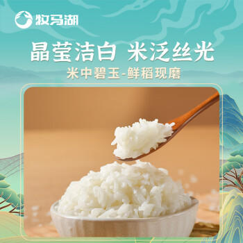 牧马湖玲珑猫牙米长粒大米5kg南方一级优质丝苗米10斤装2025年当季新米 /粮油调味 /米 /丝苗米 商品图0