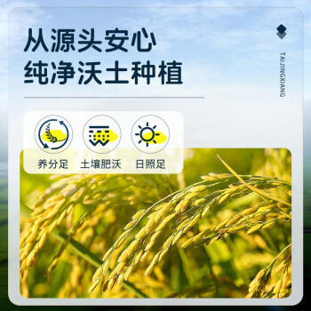 泰金香 茉莉香米 大米5KG 长粒米 香米 大米10斤 /粮油调味 /米 /其他大米 商品图0