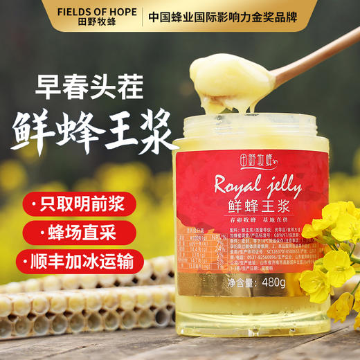 【2025新采头茬春浆】田野牧蜂蜂王浆新鲜王浆天然蜂皇浆旗舰店正品蜂乳 商品图0