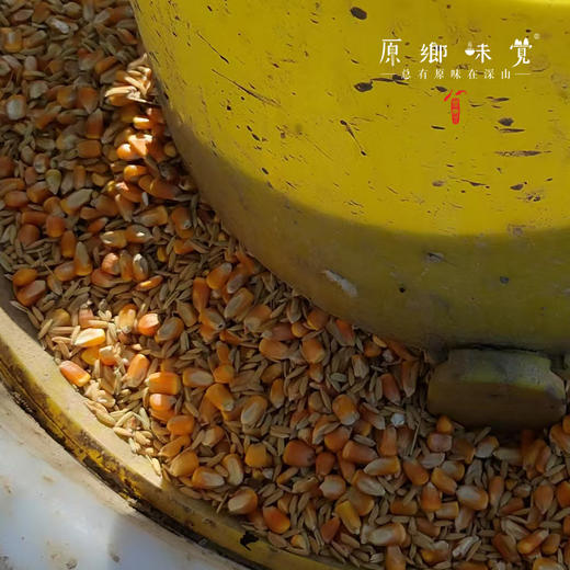 生态散养3年老鹅【切块】（原乡单发-顺丰陆运）| 来自成都安仁，生产者：杨恒珑【合作生产，公平贸易】 商品图9