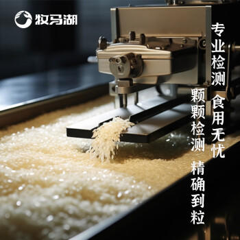 牧马湖玲珑猫牙米长粒大米5kg南方一级优质丝苗米10斤装2025年当季新米 /粮油调味 /米 /丝苗米 商品图4