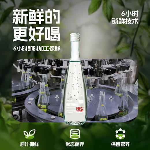九珍十八品零定律·甄饮330ml*6瓶白桦树汁 商品图1