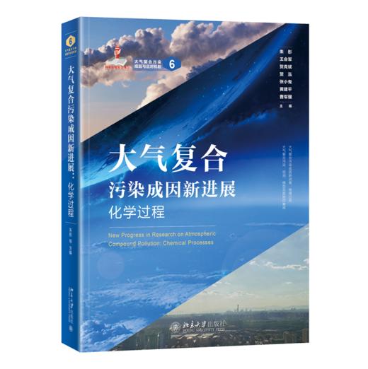 大气复合污染成因新进展：化学过程 朱彤 等 主编 北京大学出版社 商品图0