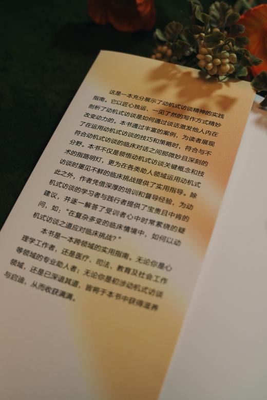 万千心理·动机式访谈实务应用：处理常见的临床挑战 商品图6