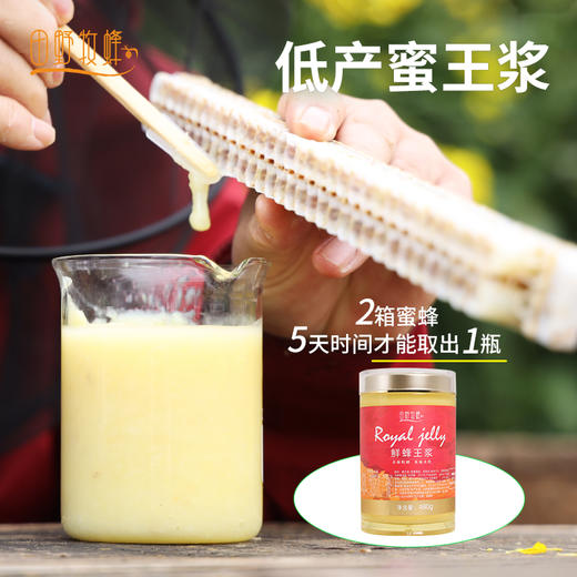 【2025新采头茬春浆】田野牧蜂蜂王浆新鲜王浆天然蜂皇浆旗舰店正品蜂乳 商品图2