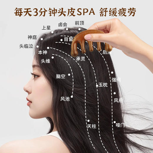 【金丝檀木梳！国潮风高雅之选！】天然檀木按摩梳🎁母亲节送长辈的贴心伴手礼，3分钟头皮SPA，舒缓疲劳，每一梳都满载温情❤️国潮风檀木按摩梳礼盒套装 母亲节送长辈礼物 经络梳子排骨梳伴手礼 商品图3