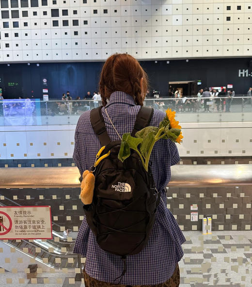 原单通勤旅行户外北面双肩包小书包 商品图3