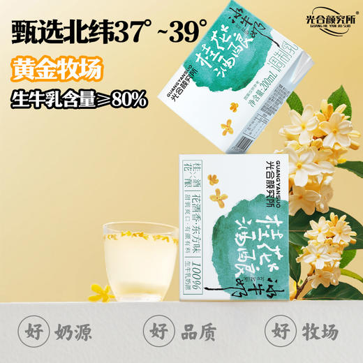 新品来袭！！！ 两件套！好喝到发癫！光合颜究所【雪糯暖暖牛奶/桂花酒酿冰牛奶】 终于理解网上说好喝到无语啦 忒好喝 忒有料 一口就疯狂爱上！ 商品图5