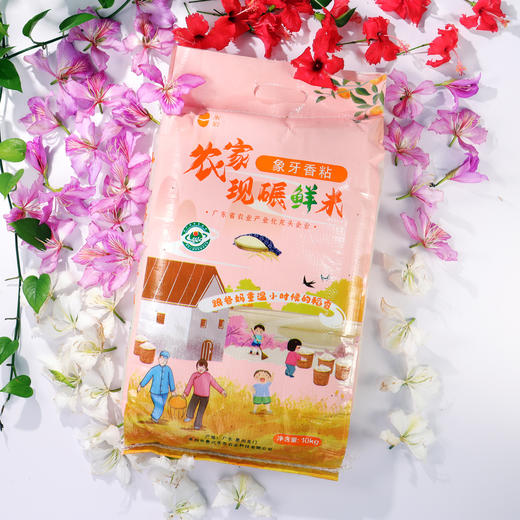 【顺丰包邮】广东惠州龙门一米爱农家现碾鲜米（象牙粘米）10kg/袋 商品图2