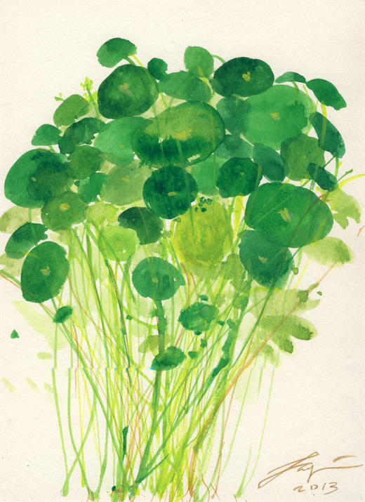 103- 2013年 中速553 商品图0