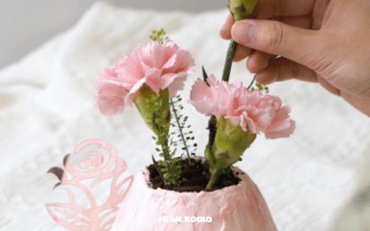 康乃馨盆栽 Jelly cat|母亲节限定 | 昔果 商品图6