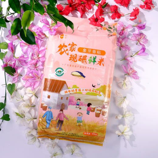 【顺丰包邮】广东惠州龙门一米爱农家现碾鲜米（象牙粘米）10kg/袋 商品图3