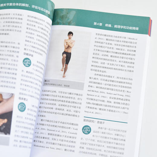 运动康复书籍 脊柱-骨盆-髋关节复合体的解剖评估与运动康复 运动损伤解剖学 腰部康复训练 商品图4