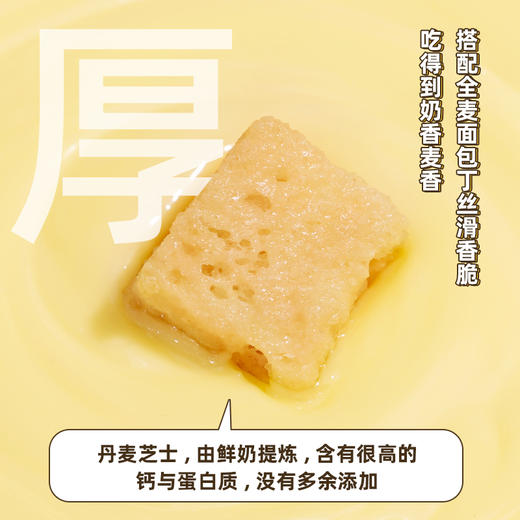 【食验室】非油炸厚厚奶酪全麦面包丁120g*2袋 商品图2