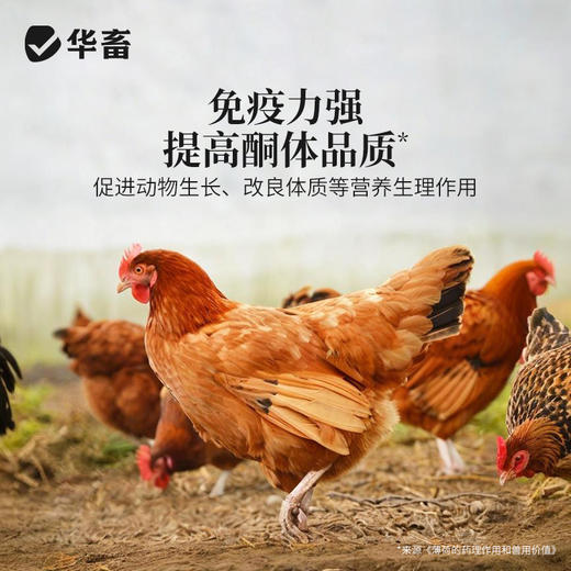 华畜 寒暑应激康1斤 高温应激 解暑降温 孕畜可用 商品图4