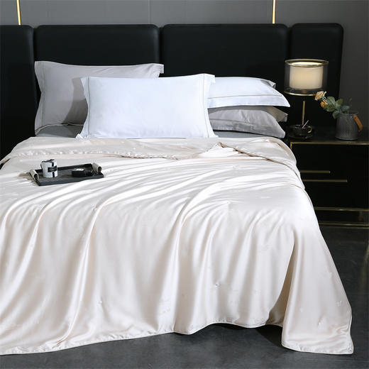 悠梦嘉居典藏黄金纯蚕丝被 商品图1