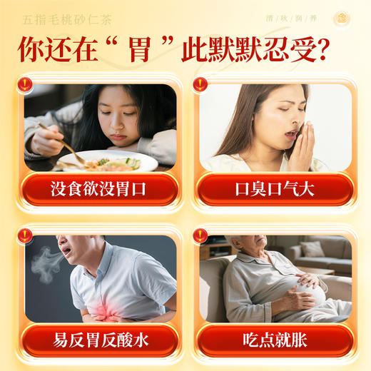 康美五指毛桃砂仁茶5g*20袋/盒 养生茶饮代泡茶 商品图7