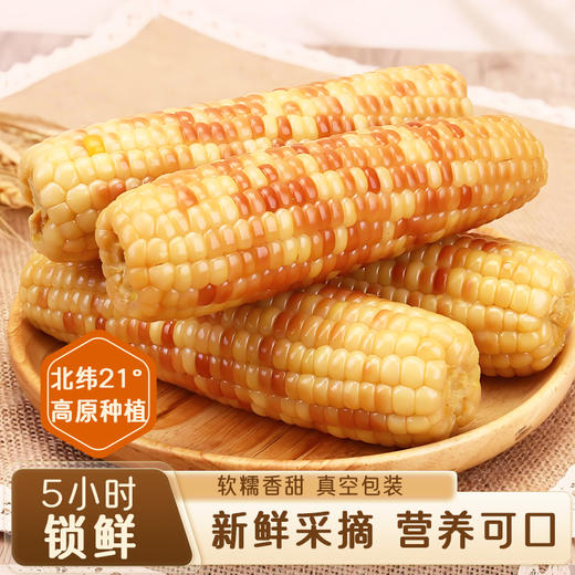 【糯小鲜】花糯小玉米1.5kg袋 商品图7
