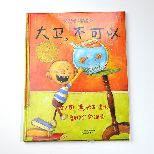 大卫,不可以 商品图1