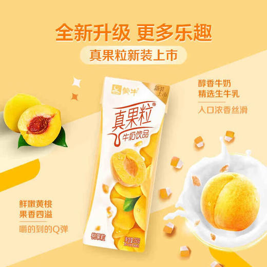 蒙牛 真果粒黄桃果粒牛奶饮品 250g*12 商品图0