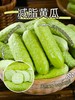 官认『减脂黄瓜』！黄瓜界的“小海参”！可以宣传功效！不用节食、不用运动！“减脂王炸”来了！皮薄肉厚，一口爆汁，水果级脆甜！ 商品缩略图2