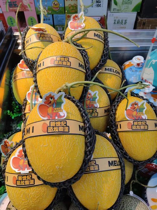 恐龙蛋蜜瓜一个 商品图0