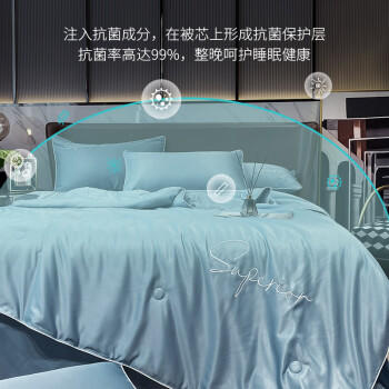 皮尔卡丹抗菌可水洗空调被夏季 冰丝夏凉被双人夏被薄被子 石兰 200*230cm 商品图2