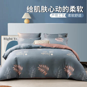 恒源祥A类抗菌水洗四件套床上用品 1.5/1.8米床双人被套200*230cm床单套件 商品图2