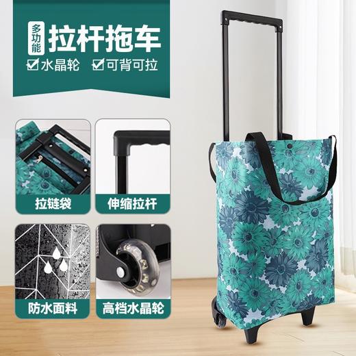 【加粗拉杆购物车】超市老年人买菜车小车 可折叠爬楼车 家用手提拉杆包 商品图3