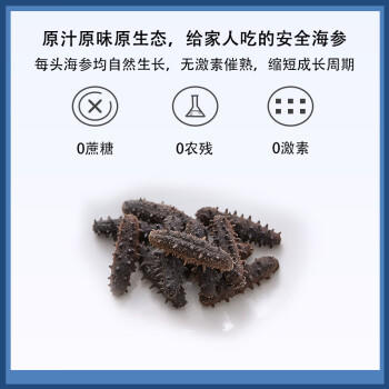 张奶奶正宗大连淡干海参130g20-30头 底播辽刺参礼盒 营养滋补送礼 /粮油调味 /南北干货 /干海参 商品图4