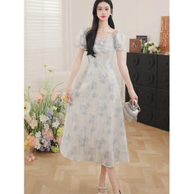 鹿向南「夏日繁花」清新气质连衣裙女夏季新款设计感高腰A字长裙QJD00350