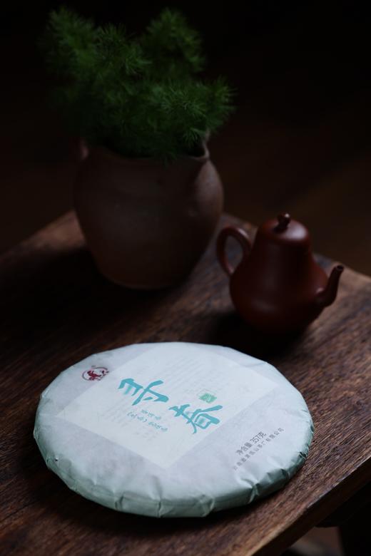 「佤山映象」生普洱茶寻春 357g/片 商品图1