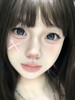 【半年抛大直径】AROMI-贴贴比熊 灰-14.5mm【半年抛 0-800度 含525/575】 商品缩略图5