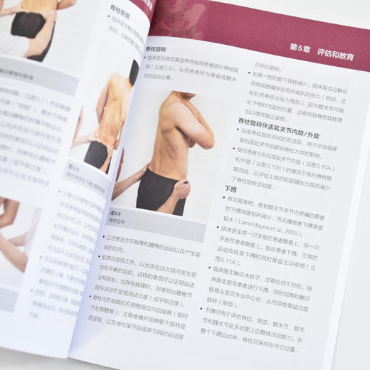 运动康复书籍 脊柱-骨盆-髋关节复合体的解剖评估与运动康复 运动损伤解剖学 腰部康复训练 商品图3