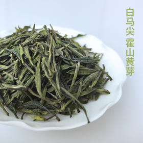 霍山黄芽25克 难得的白马尖古树