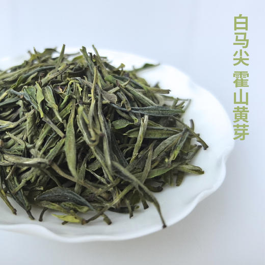 霍山黄芽25克 难得的白马尖古树 商品图0