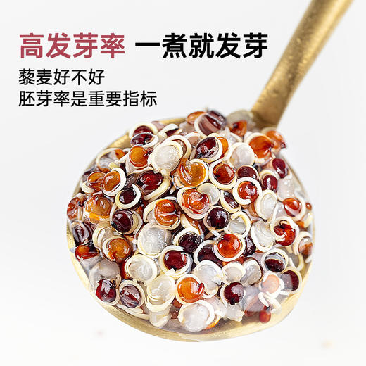 璞匠玻利维亚有机三色藜麦米官方旗舰店粗粮五谷杂粮米糙米饭代餐 商品图4