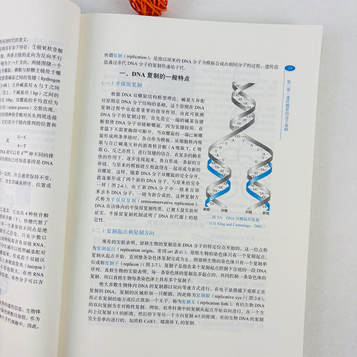 遗传学 第5五版 生命科学经典教材系列 刘庆昌 主编 系统地介绍了遗传学的基本概念 基本原理 基本方法等 9787030807267科学出版社 商品图3
