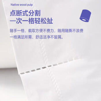 顺清柔有芯卷纸彩虹系列5层200g*10卷 冲厕易溶解卫生纸厕纸（2kg/提） /家庭清洁/纸品 /清洁纸品 /卷纸 商品图3