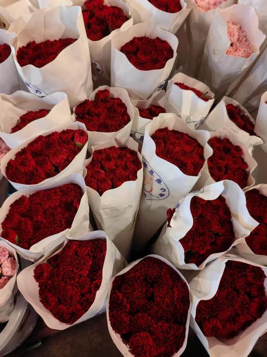 精品花材康乃馨18支 商品图4