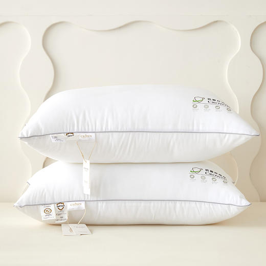 皇冠絮语 （抗菌枕芯）T3509 商品图1