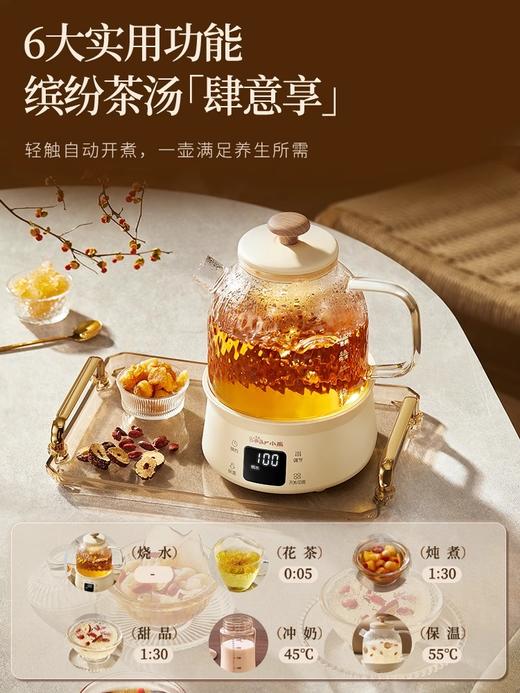 小熊养生壶全玻璃家用多功能小型迷你办公室煮茶器烧水壶 商品图1